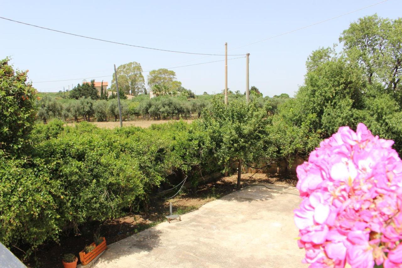 Il Casello Country House Parcheggio Gratuito شاكا المظهر الخارجي الصورة